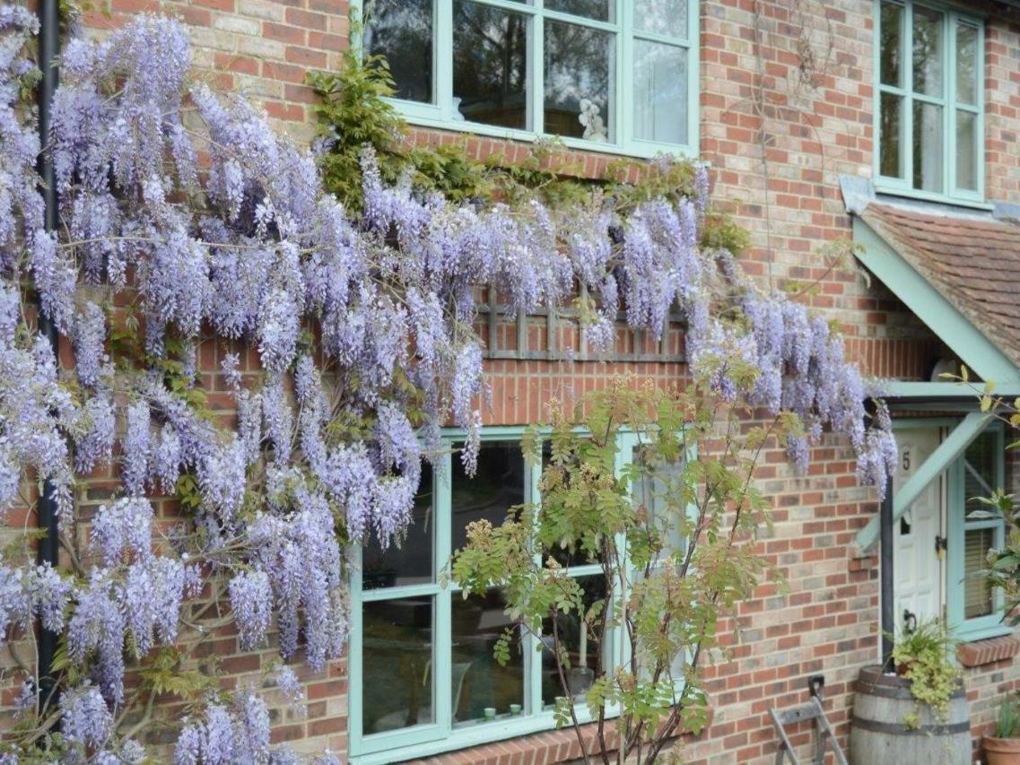 5 Charlton Mill Way B&B Chichester Exteriör bild